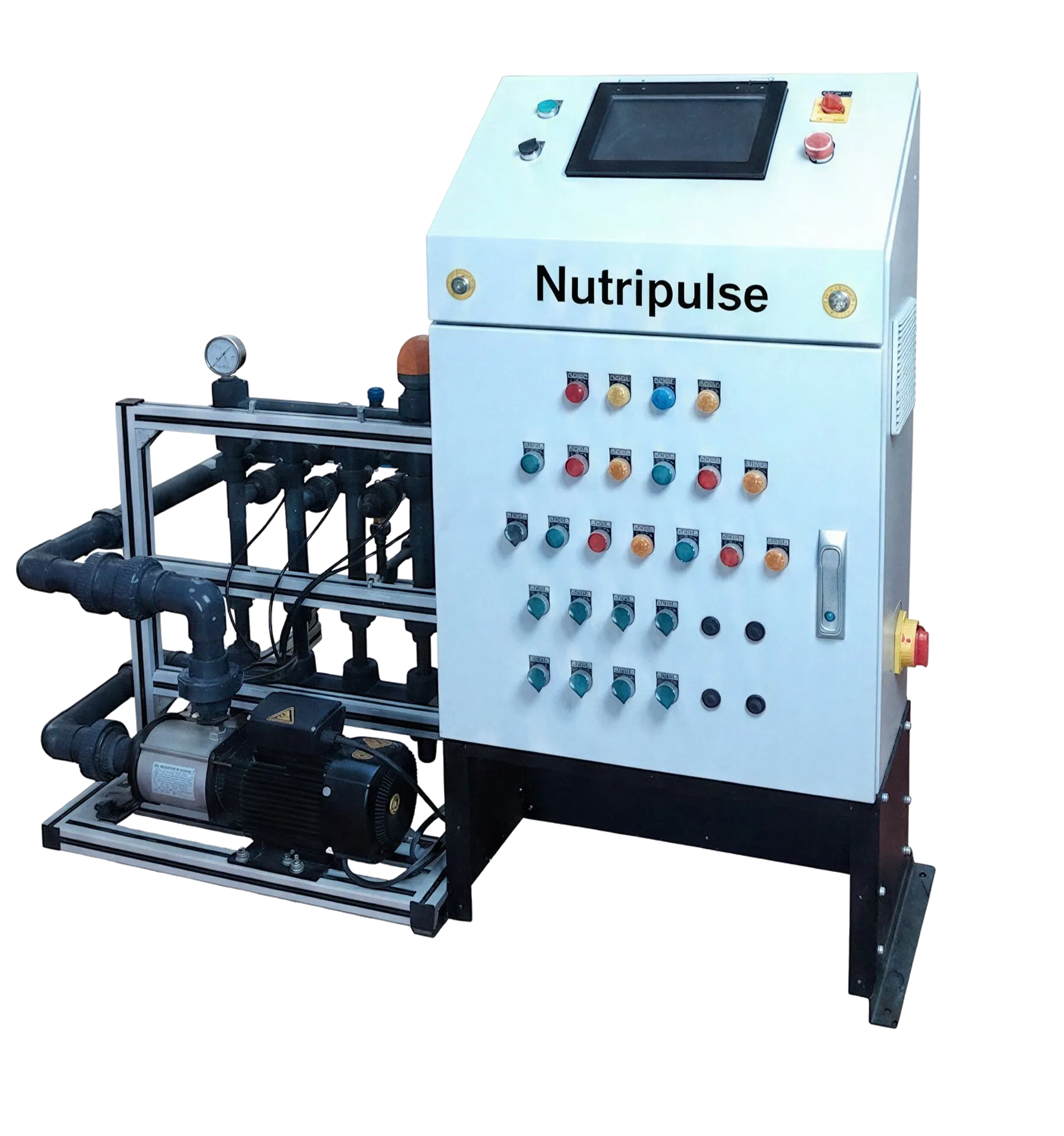 Nutripulse