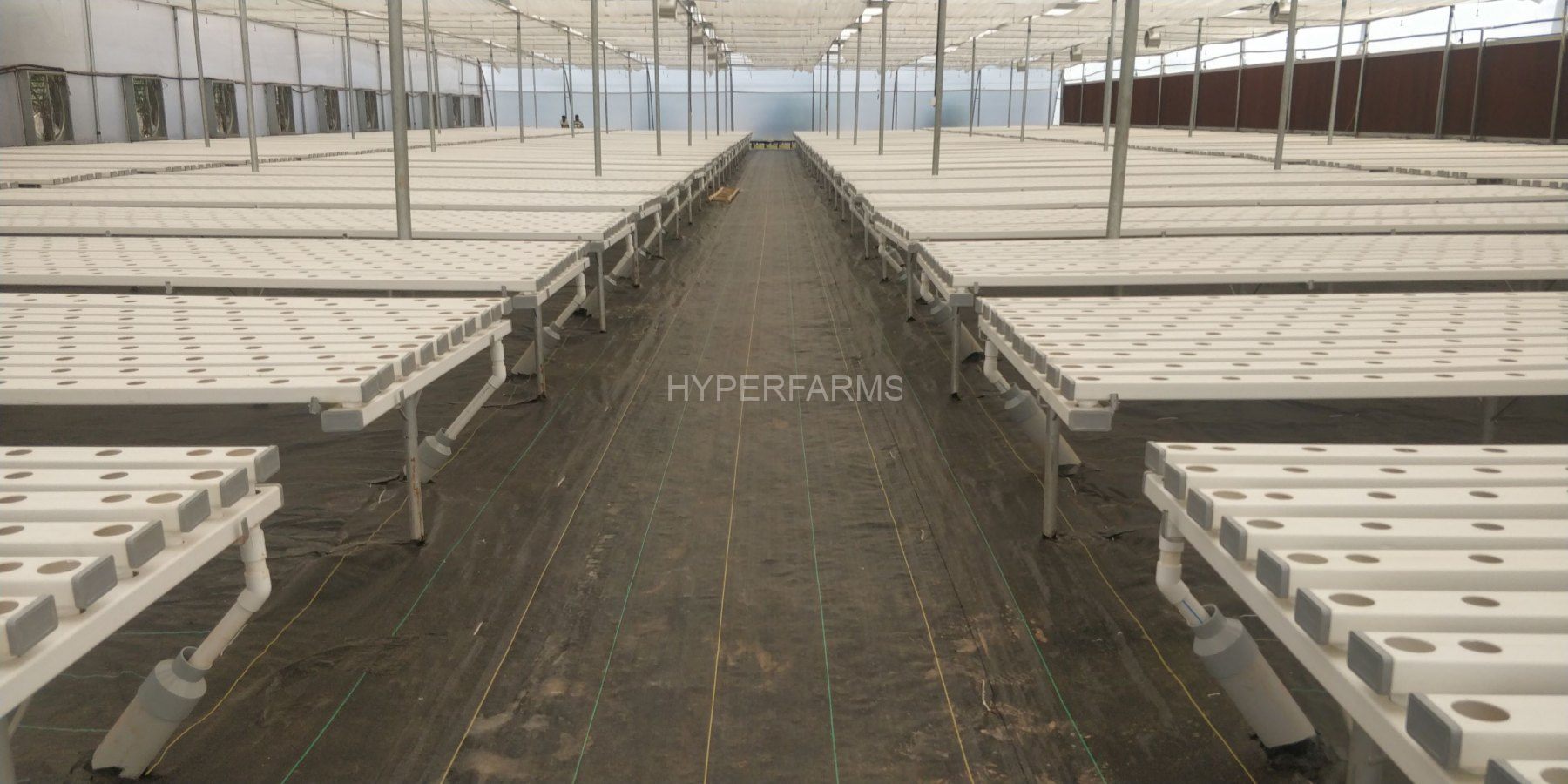commercial-hydroponics-farm-india-hyperfarms-1-sm