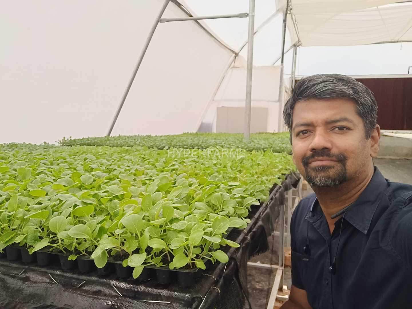 commercial-hydroponics-farm-india-hyperfarms-4-Large