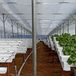 Hydroponics-consultants-india-project-costing (9)
