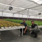 hydroponics-farming-in-india-profitable. (9)