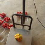 hydroponics-in-coastal-areas-commercial-farming (6)